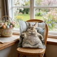 thumbnail image 1 of Rijanmt Easter Realistic Fluffy Bunny Comfort Pillow Case,Easter Throw Pillow Case With Flower Bunny And Eggs,Pillowcase Square Cushion Covers For Sofa Bed Couch,Spring Home Decor,17.71*17.71",B, 1 of 6