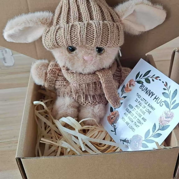 Rijanmt Mini Bunny Hug Cute Easter Gift Soft Plush Rabbit,2026 Bunny In A Box Hugs Positive Bunny Stuffed Animal Easter Ideas Bunnies Basket Stuffers Doll Emotional Support Inspirational Gifts,D