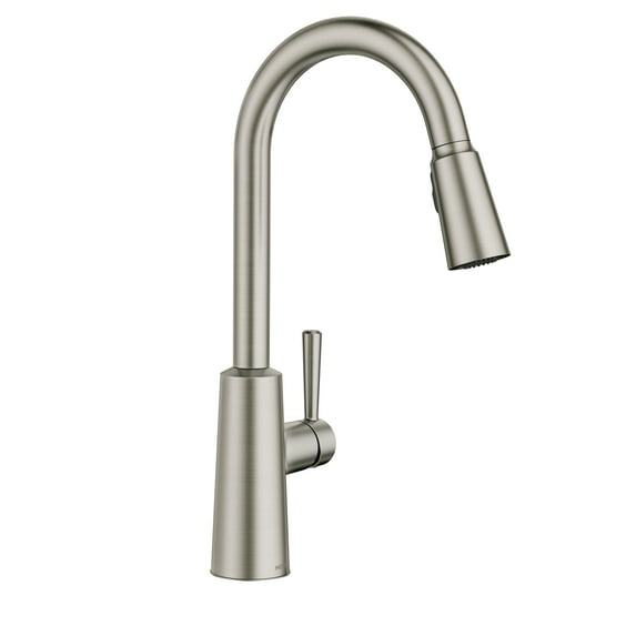 Riley Single-Handle Pull-Down Sprayer Kitchen Faucet with Reflex and Power Clean in Spot Resist Stainless