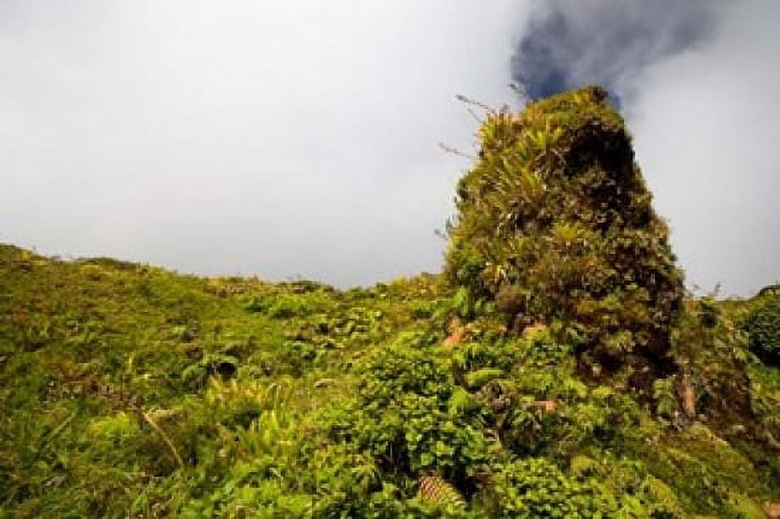 Rim of Summit Crater on Mt Pelee Martinique French Antilles Canvas Art - Scott T Smith DanitaDelimont (36 x 24)