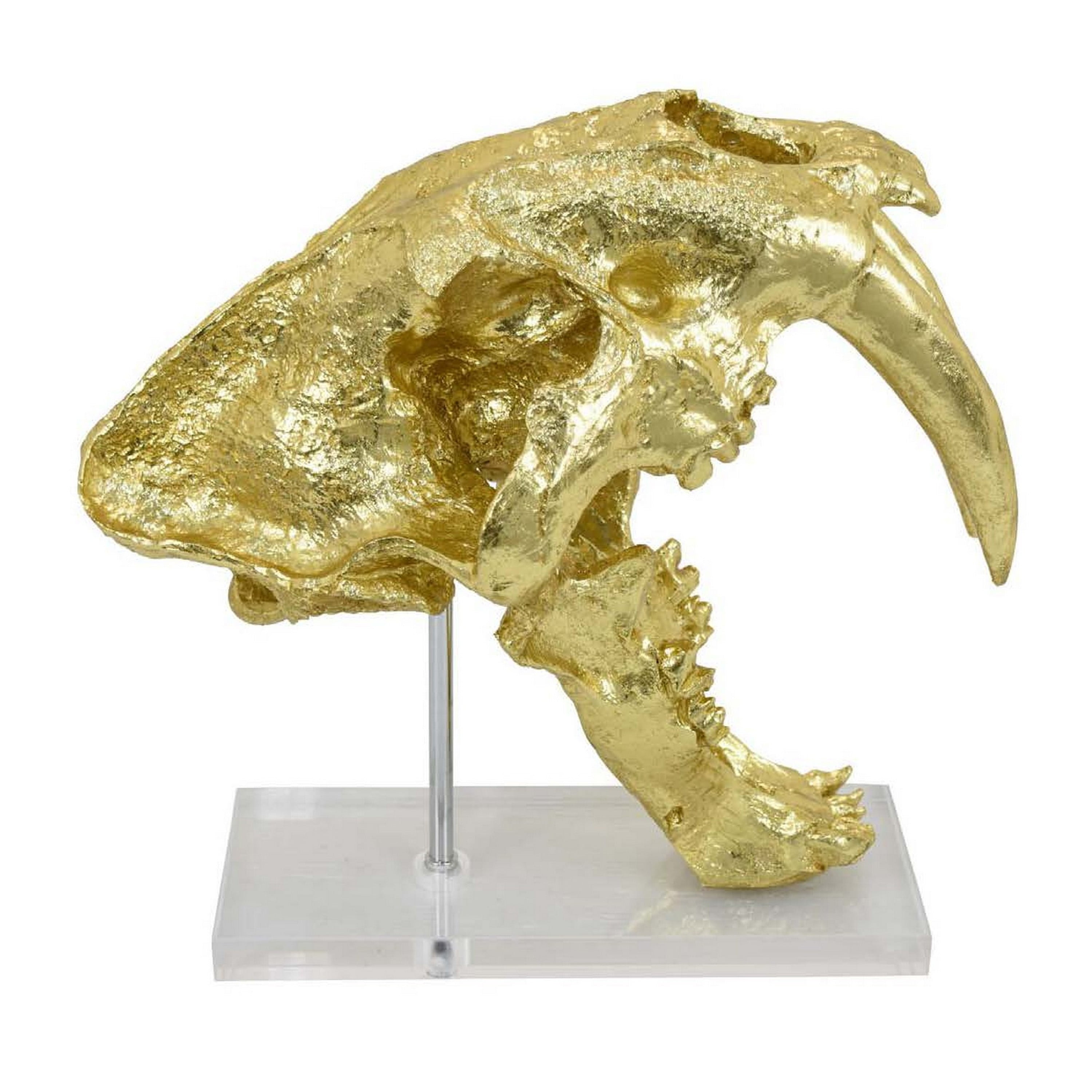 Rimaa Sabertooth Tiger Tabletop Decor, Gold Resin, Acrylic, 13 Inch ...