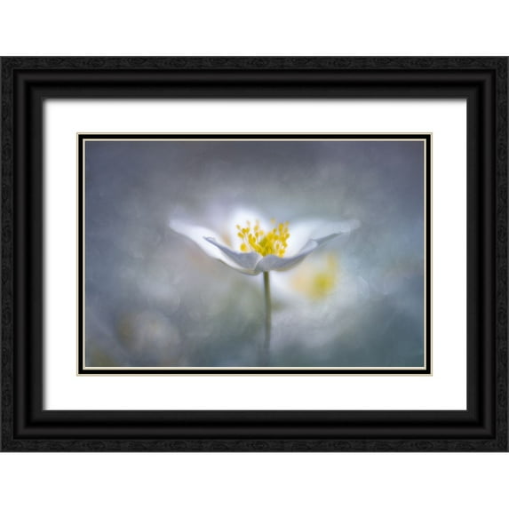 Riml, Ludwig 18x13 Black Ornate Wood Framed with Double Matting Museum Art Print Titled - Dreamy