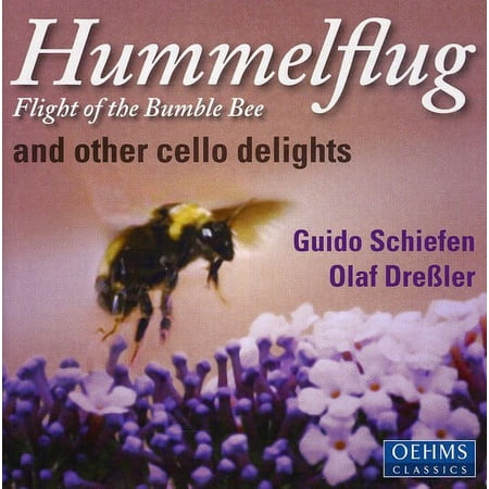 Rimsky-Korsakov / Ravel / Rachmaninoff / Faure - Hummelflug Flights of the Bumble-Bee - Music & Performance - CD