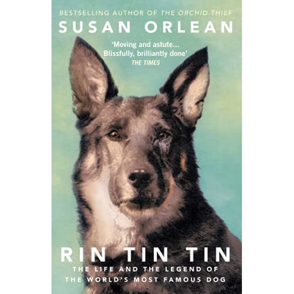 Rin Tin Tin Susan Orlean (Paperback)