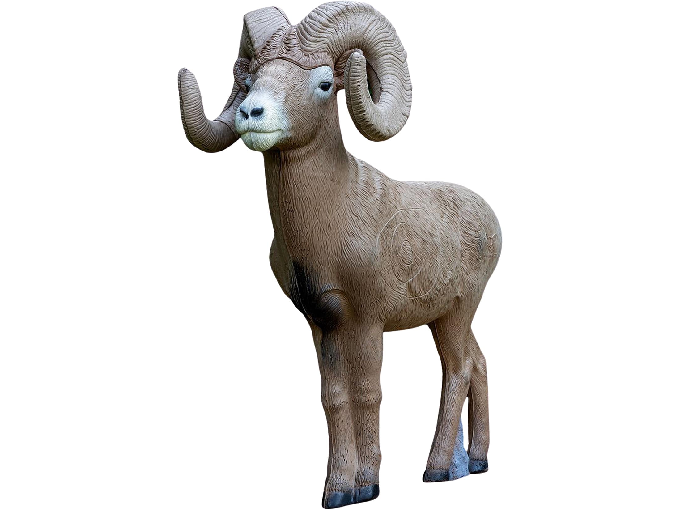 Rinehart Bighorn Ram Archery Target - Thumbnail 2