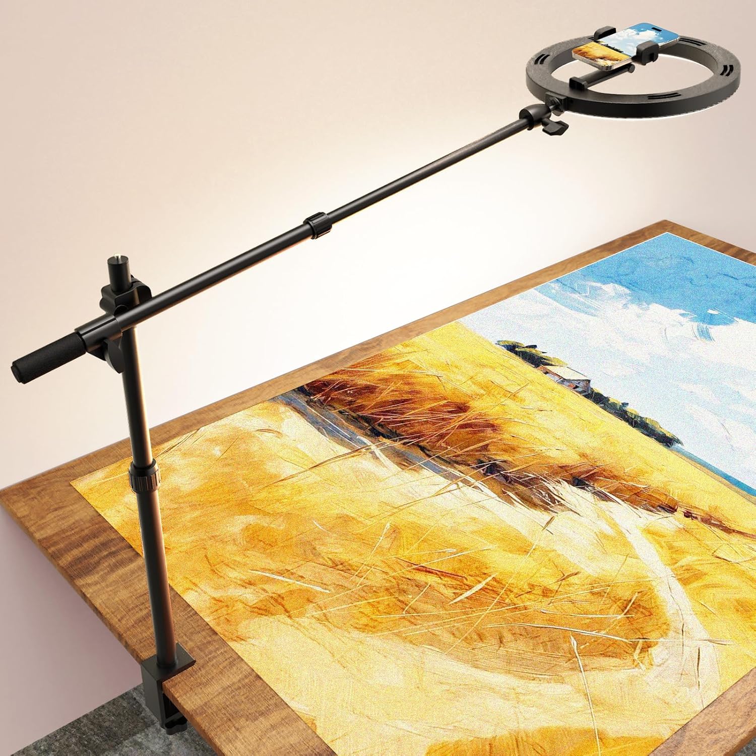 Overhead Ring Light With Phone Mount – 10-Inch Desk Ring Light For Videos & Streaming