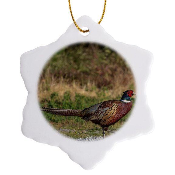 3drose, Ring-necked Pheasant Bird, California, Usa - Us05 Tno0061 - Tom Norring, 3 inch Snowflake Porcelain Ornament