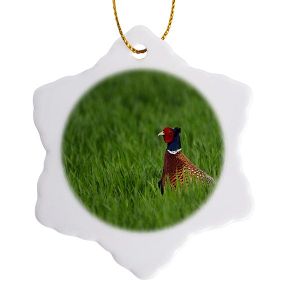 3drose, Ring-necked Pheasant, Bird, Lake Neusiedl, Austria-eu03 Rnu0031 - Rolf Nussbaumer, 3 inch Snowflake Porcelain Ornament