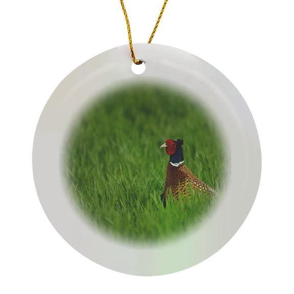 3drose, Ring-necked Pheasant, Bird, Lake Neusiedl, Austria-eu03 Rnu0031 - Rolf Nussbaumer, Circle Porcelain Ornament
