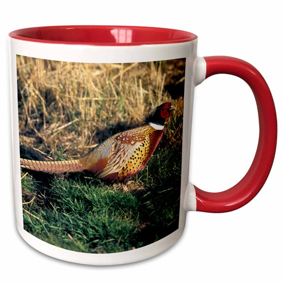 3drose, Ring-necked Pheasant, Bird - Na02 Pwa0010 - Patrick J. Wall, 11oz Two-tone Red Mug