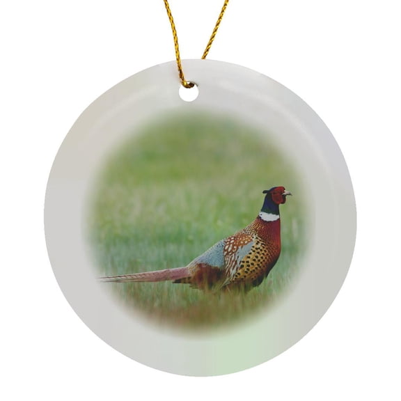 3drose, Ring Necked Pheasants, Circle Porcelain Ornament