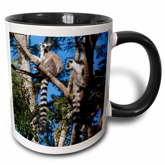 3drose, Ring Tailed Lemur Primate, Berenty Park ,madagascar - Af24 Ksu0036 - Keren Su, 15oz Two-tone Black Mug