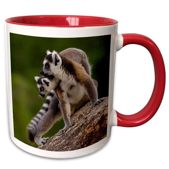 3drose, Ring-tailed Lemurs Primates Andringitra Mtns, Madagascar-af24 Pox0373 - Pete Oxford, 15oz Two-tone Red Mug