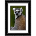 thumbnail image 1 of Ring-tailed Lemur portrait in the Andringitra Mountains, Madagascar 2x Matted 18x24 Black Ornate Framed Art Print by Oxford, Pete, 1 of 2