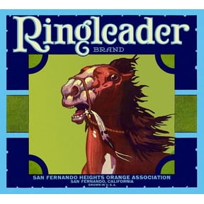 Ringleader Indian Horse label Canvas Art - (24 x 36)