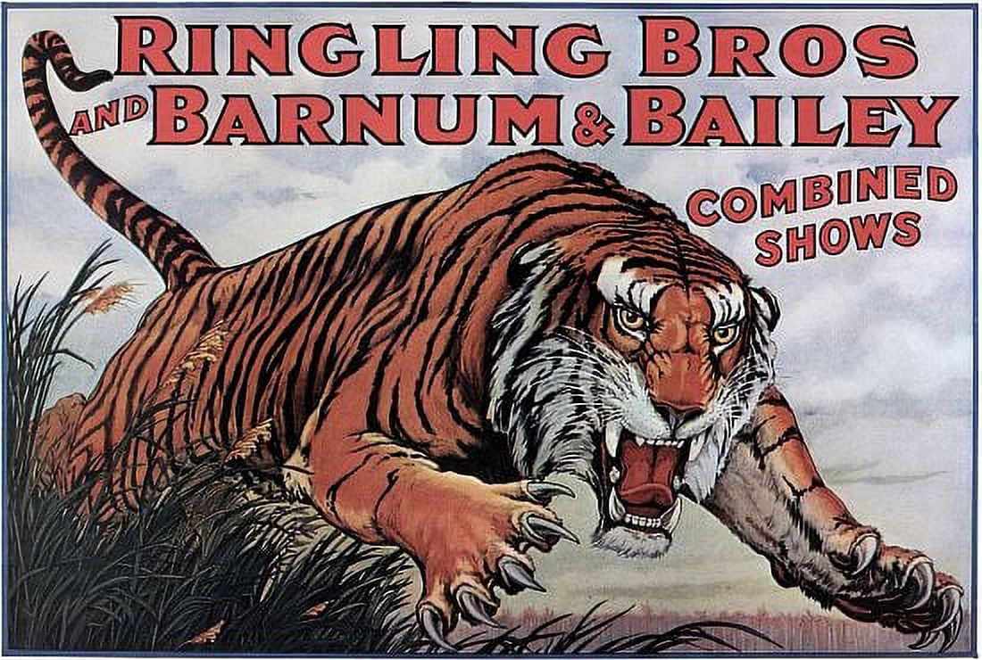 Ringling Bros Barnum Bailey Tiger Circus Canvas Art - (18 x 24)