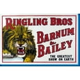 thumbnail image 1 of Ringling Bros. Circus Lion Poster 24inx36in Art Poster 24x36 Multi-Color Square Adults Z Posters, 1 of 1