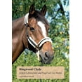 thumbnail image 1 of Ringwood Clyde: (m)ein Lehrmeister und Engel auf vier Hufen, (Paperback), 1 of 1