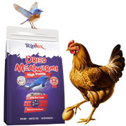 Rinlex Dried Mealworms 2 lb- High Protein Treat for Birds, Bluebird, Gecko, Lizard, and Poultry