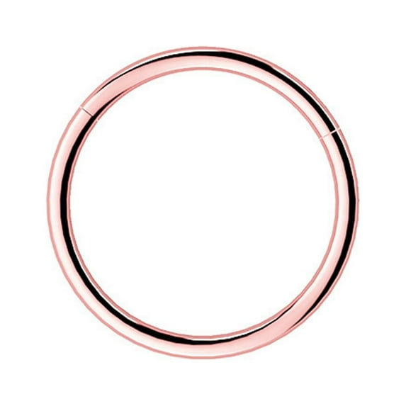 Rinsvye Beautiful Nose Ring And Nose Chain Stylish Nose Piercing Jewelry Titanium Nose Stud Stainless Steel Nose Ring Dangle Nose Ring