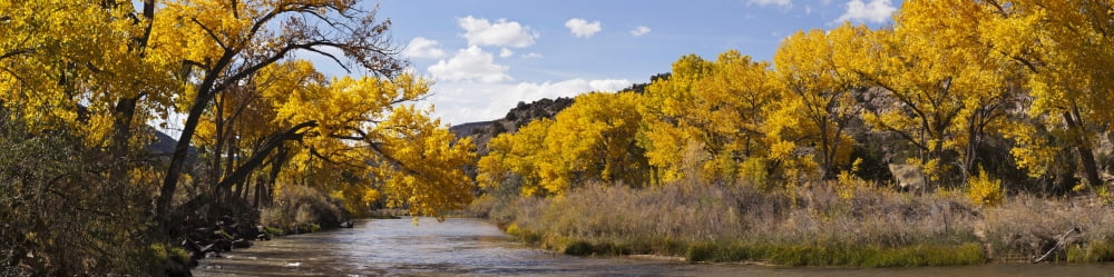 Rio Grande River at the Orilla Verde Recreation Area Pilar Taos County New Mexico USA Canvas Art - Panoramic Images (36 x 12)