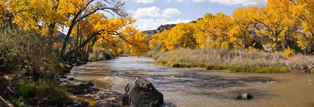 Rio Grande River at the Orilla Verde Recreation Area Pilar Taos County New Mexico USA Canvas Art - Panoramic Images (36 x 12)
