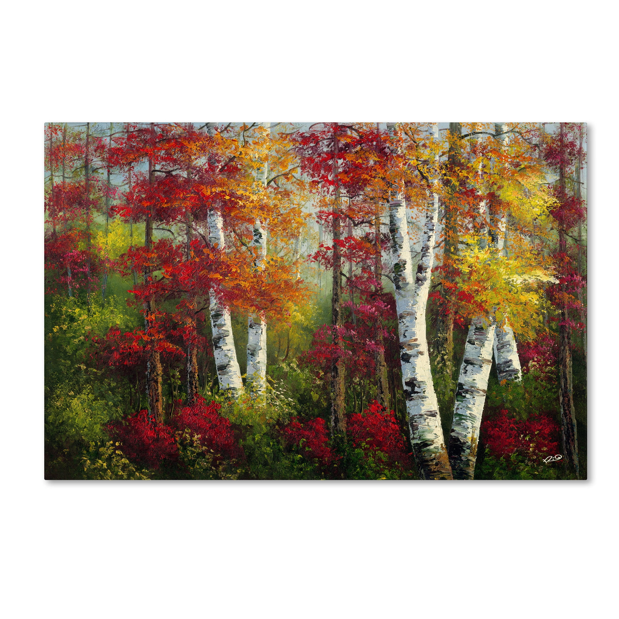 Indian Summer Birch Trees Gallery-Wrapped Canvas Art