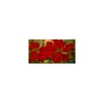 thumbnail image 1 of Rio 'Poppies' Canvas Art, 1 of 4