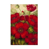 Trademark Fine Art Masters Fine Art Poppies II Canvas Wall Art - 30x47