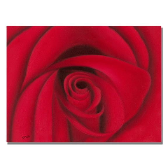 Rio 'Red Rose' Canvas Art