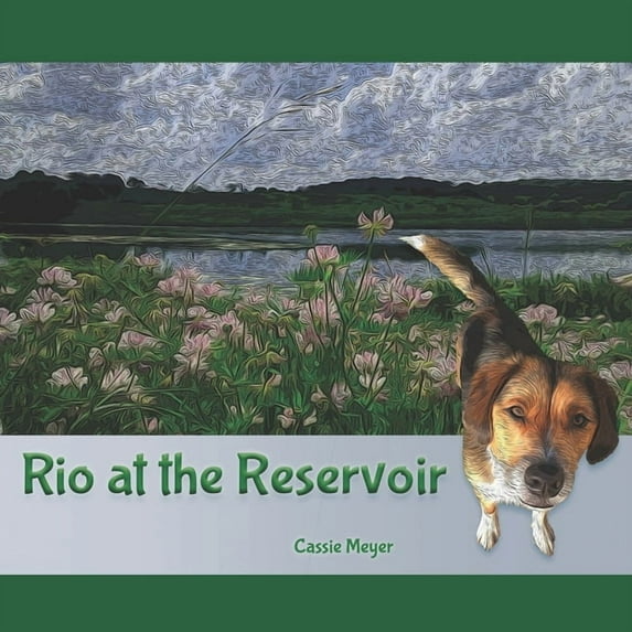 Rio at the Reservoir, (Paperback)