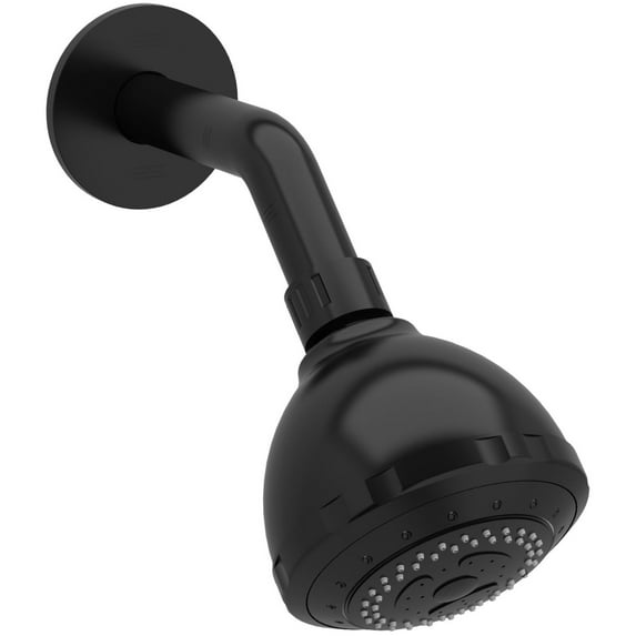 Riobel 308 2 GPM Multi Function Shower Head - Black