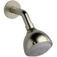 thumbnail image 1 of Riobel 308 2 GPM Multi Function Shower Head - Nickel, 1 of 1