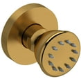 thumbnail image 1 of Riobel 390 Single Function Round Brass Body Spray - Gold, 1 of 1