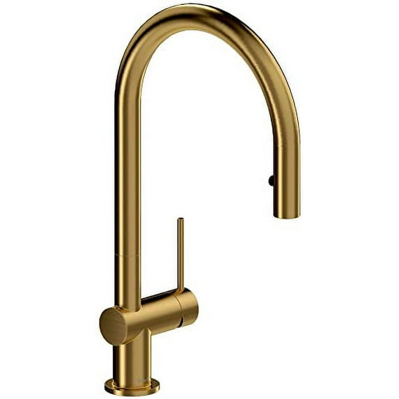 Riobel Az101 Azure 1.8 GPM Single Hole Pull Down Kitchen Faucet - Gold