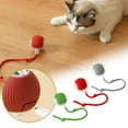 Riohave "Unleash The With Our USB Rechargeable Interactive Cat Toy The