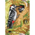 thumbnail image 1 of Riolis R1851 Woodpecker-Counted Cross Stitch, 1 of 1