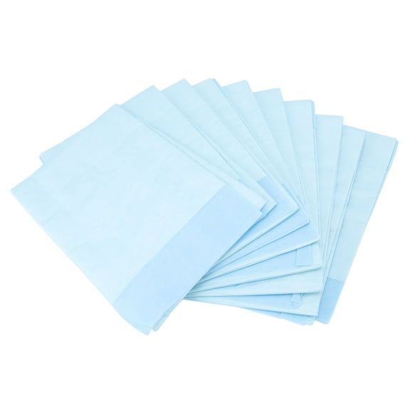 Riousery 10 Pcs Disposable Bed Pad Heavy Absorbency Incontinence Underpad 11.02 x 7.48 inches / 28 x 19 cm
