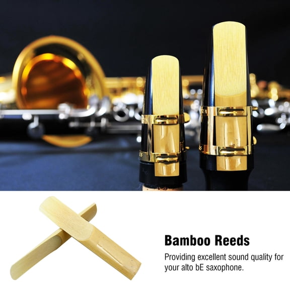 Riousery 10-Piece Bamboo Saxophone Reeds, Strength 2.5 for Alto bE Sax, Premium Woodwind Instrument Replacement Accessory (2.7 x 0.6 inches / 7 x 1.5 cm)