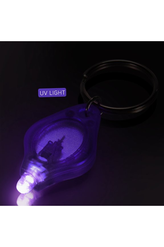 10-Piece Mini Portable UV LED Light Flashlight Keychain Ultra Bright Key Ring Torch for Currency and Passports Detection, Purple Shell, Perfect Everyday Carry