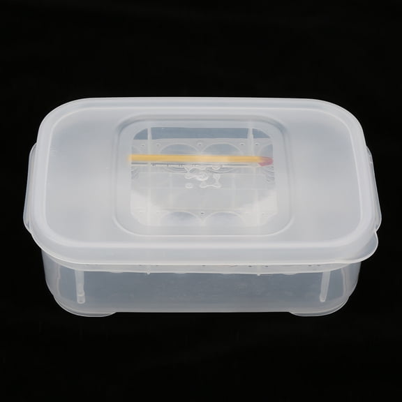 Riousery 12 Grids Snakes Gecko Lizards Reptiles Eggs Incubator Tray Hatcher Box with Thermometer, Suspended Incubation for Turtles, Clear, 6.4 x 4.3 x 2 inches / 16.2 x 11 x 5.2 cm