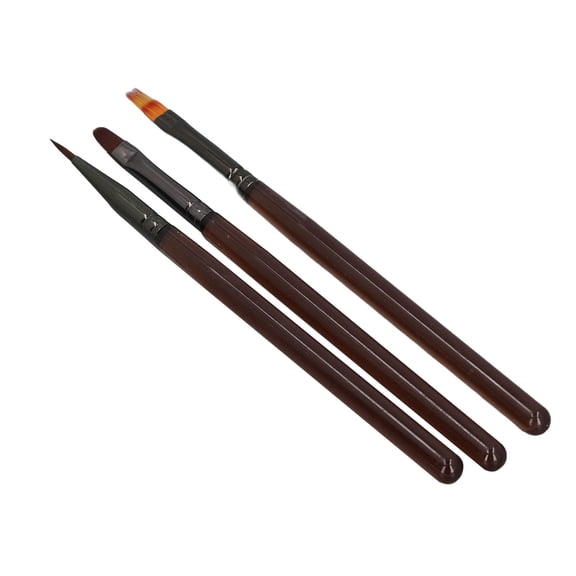 Riousery 2-Box Nail Art Brush & Liner Pen Set, Professional Gradient Painting Tool Kit for Manicure, Flower Drawing Brushes for Salon and Home Use, Multicolor