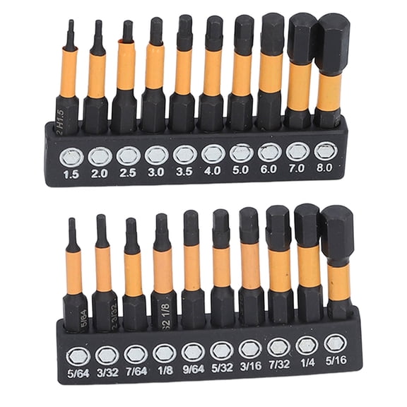 Riousery 20 Pieces Hex Bit Set with 1/4 Inch Shank, Metric and Imperial Magnetic Alloy Steel Bits for Screwdriver and Impact Drill Maintenance, 3.54 in / 9.00 cm