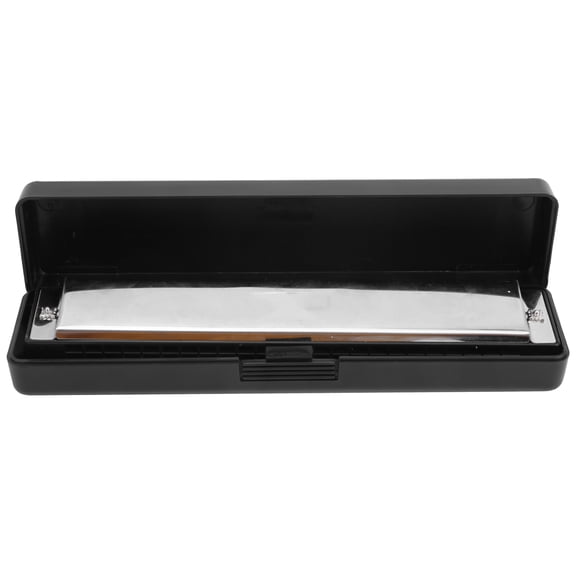 Riousery 24 Hole C Key Octave Tuning Harmonica, Beginner Musical Instrument with Case, Silver/Black, 7.48 in / 19 cm