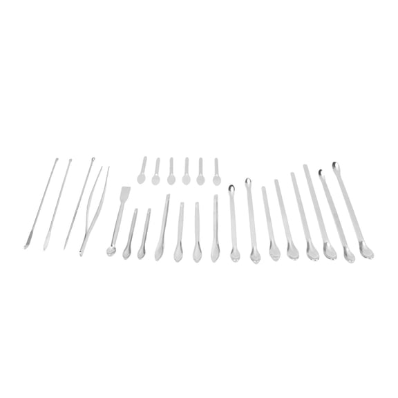 Riousery 25Pcs Laboratory Spoon Spatula Tweezers Set 304 Stainless Steel Long Handle Multifunctional Laboratory Sampling Scoop Kit (11.42 inches / 29.00 cm)