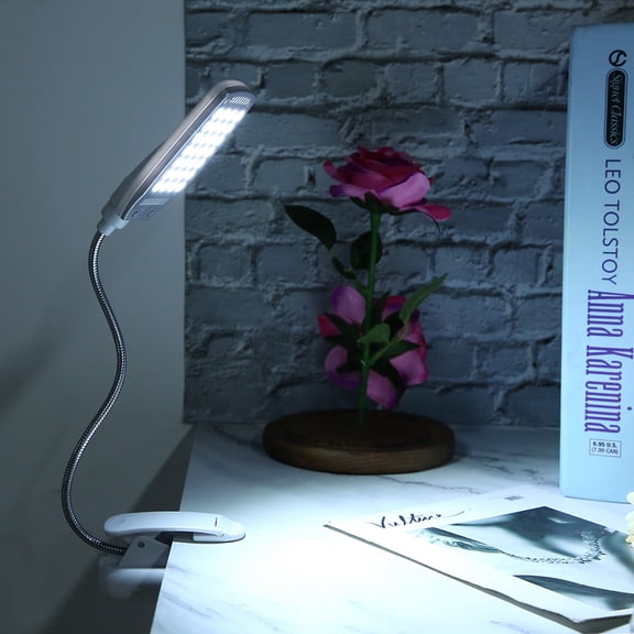 Riousery 28 LED Rotating Reading Clip Desk Lamp, High Brightness, Eye Protection, 13 inches / 33 cm