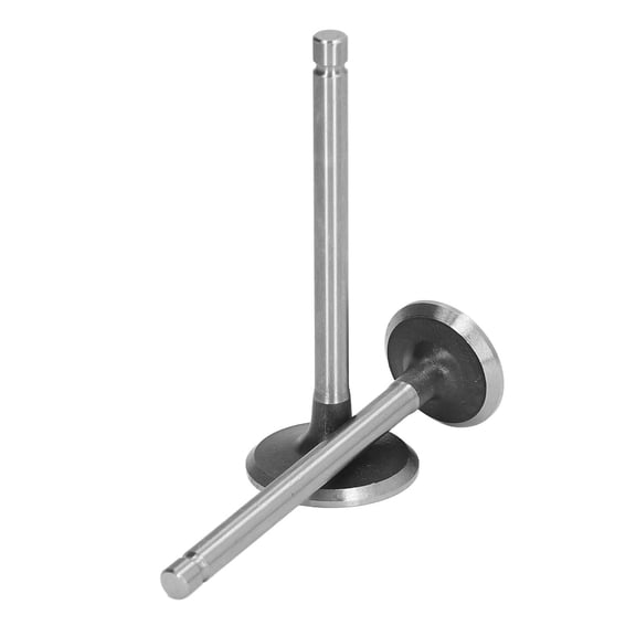Riousery 2PCS Intake Exhaust Valve Set Alloy Steel Generator Valve Kit for Mini Tiller, 11 in / 27.9 cm