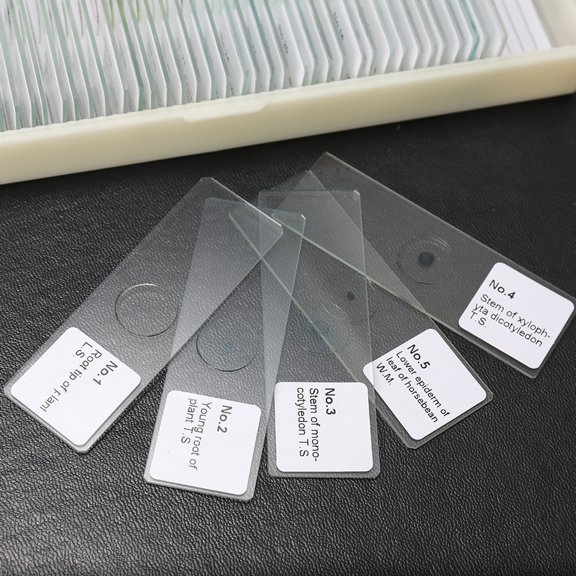 Riousery 50PCS/Set Biological Glass Sample Prepared Basic Animal Plants Insects Tissues Science Specimen Cover Slips Portable Educational Microscope Slides for Kids and School Lab Use