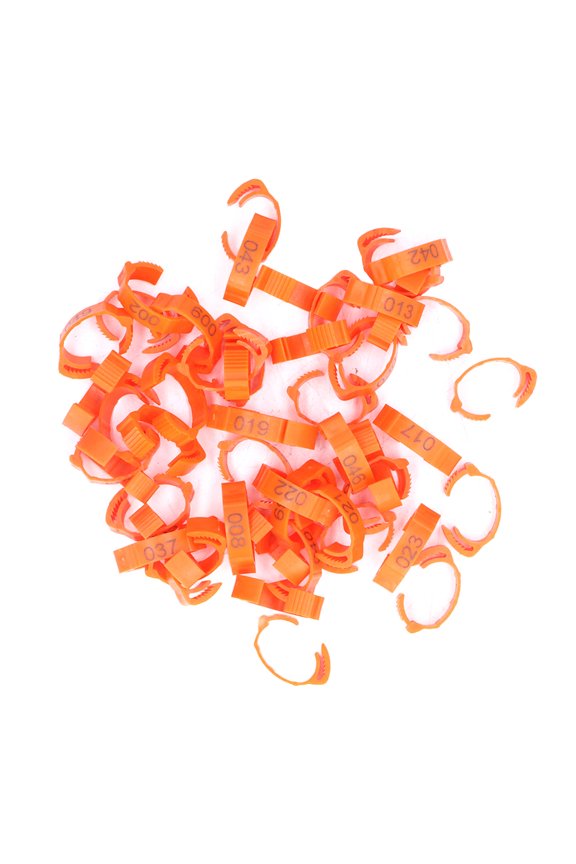 Riousery 50pcs Pet Leg Rings Numbered Clip On Identification Leg Bands for Chickens Ducks Pigeons Geese, Orange Colored Poultry Foot Markers (14.00 x 10.00 x 5.00 inches / 35.6 x 25.4 x 12.7 cm)