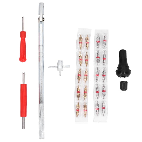 Riousery 54Pcs Tire Valve Stem Installation Tool Remover Installer Kit Repair Puller Car Plug Core